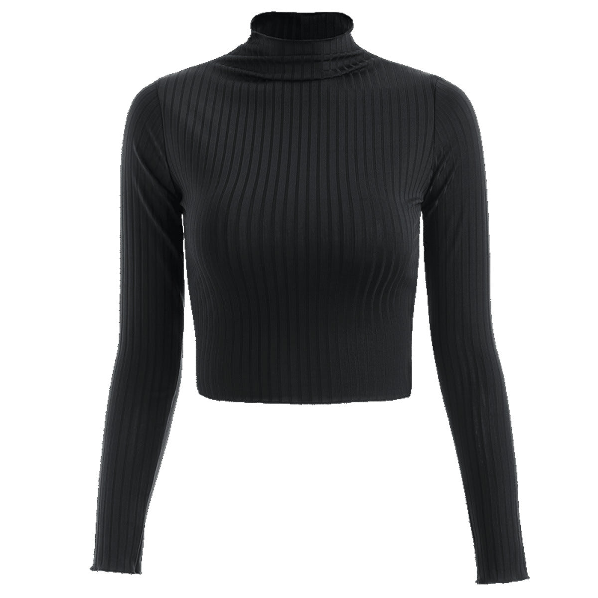 Stripe Long Sleeve Turtleneck Top