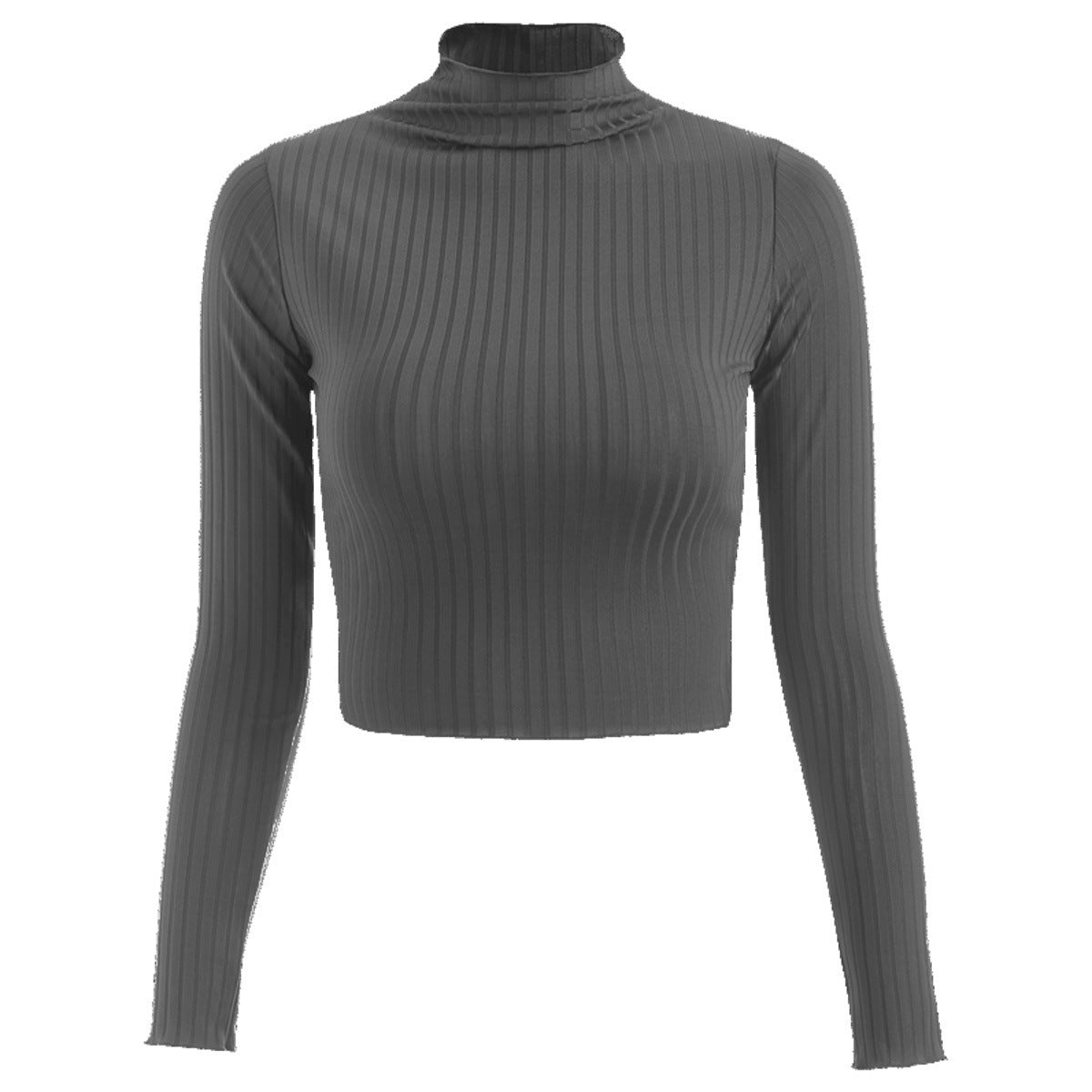 Stripe Long Sleeve Turtleneck Top