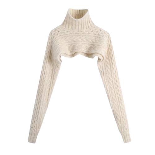 IBADDIE Beige Crop Turtleneck Sweater