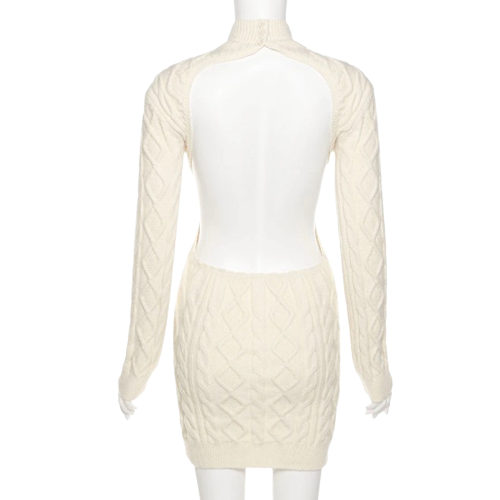 Backless Turtleneck Knitted MIni Dress Back