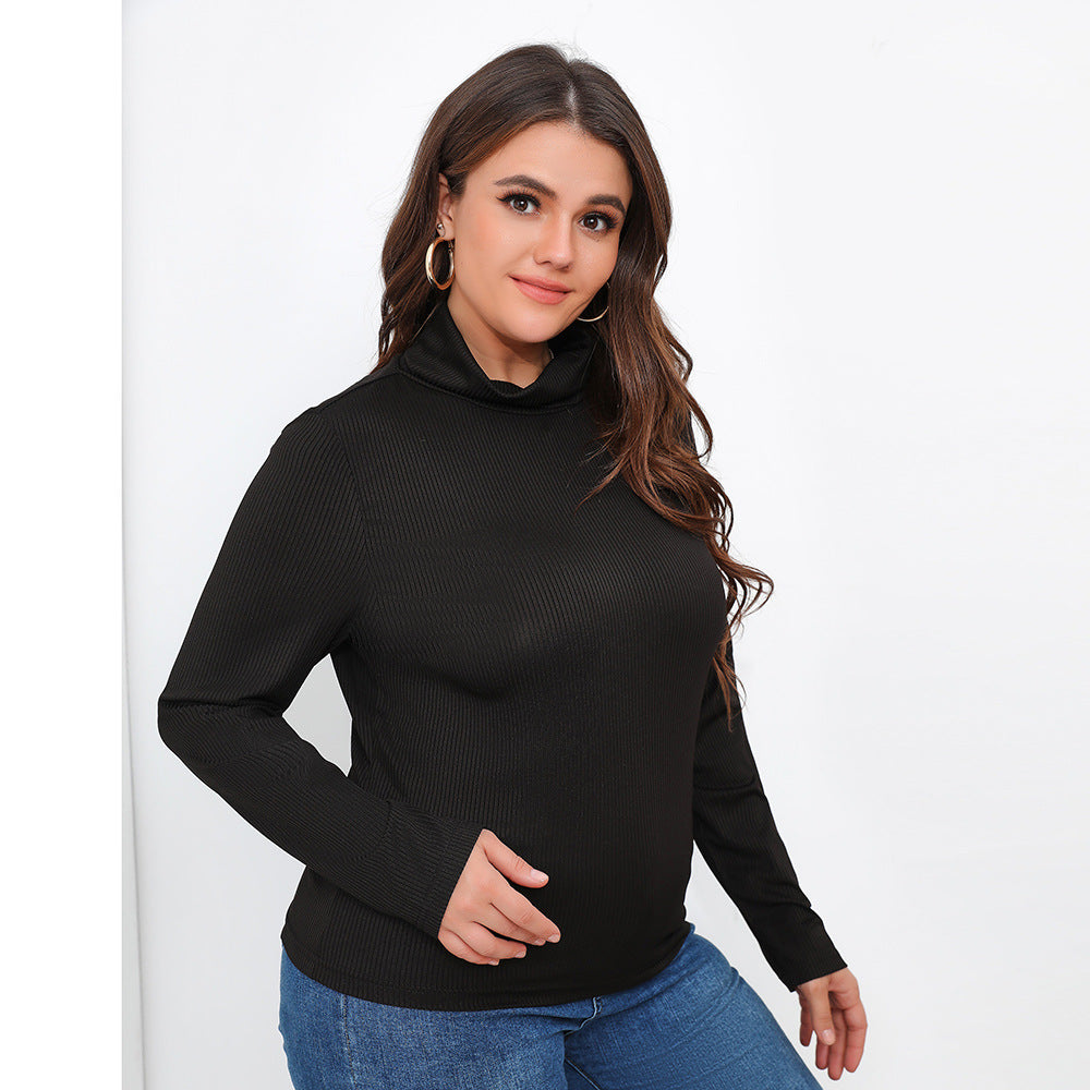 Plus Size Solid Long Sleeve Turtleneck Top