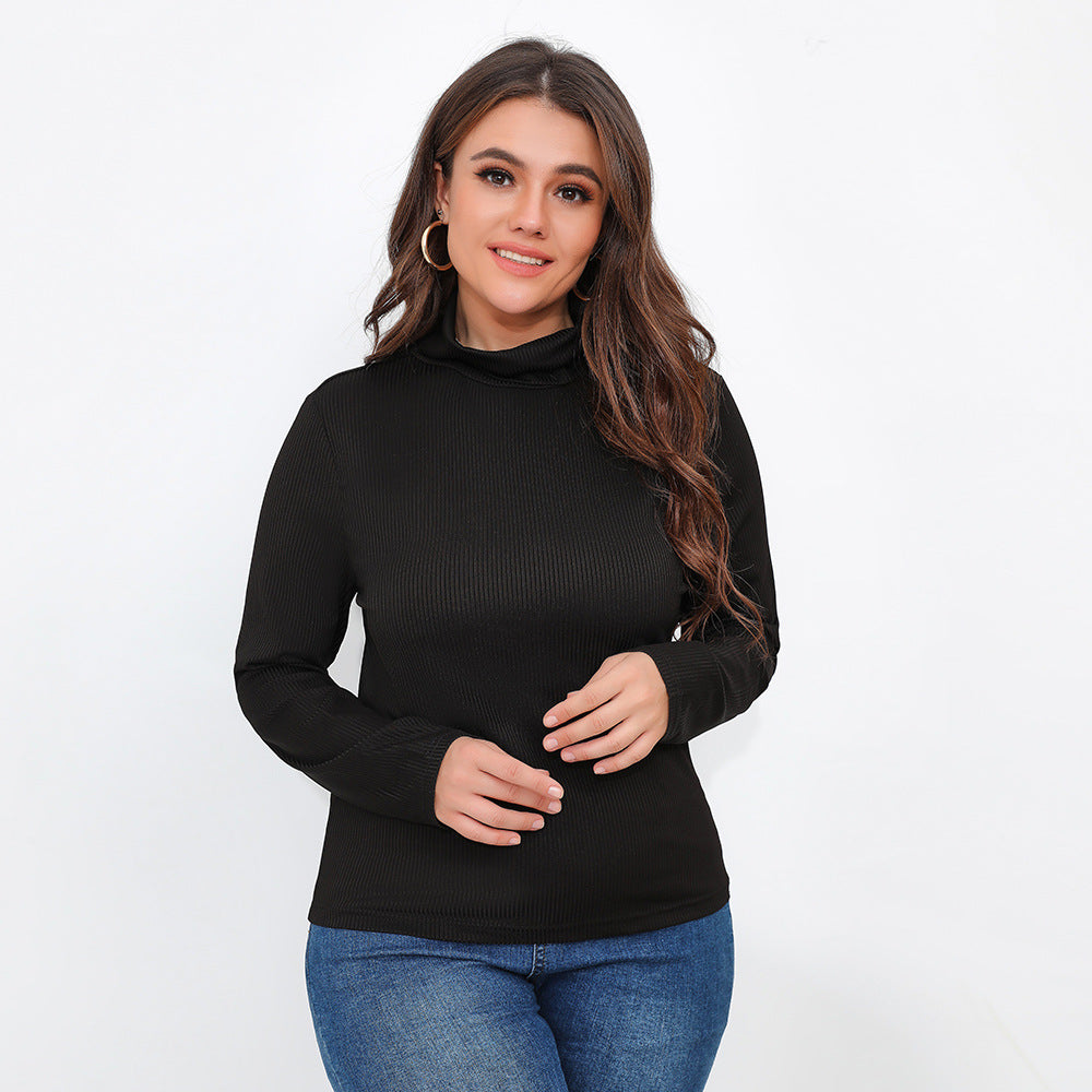 Plus Size Solid Long Sleeve Turtleneck Top