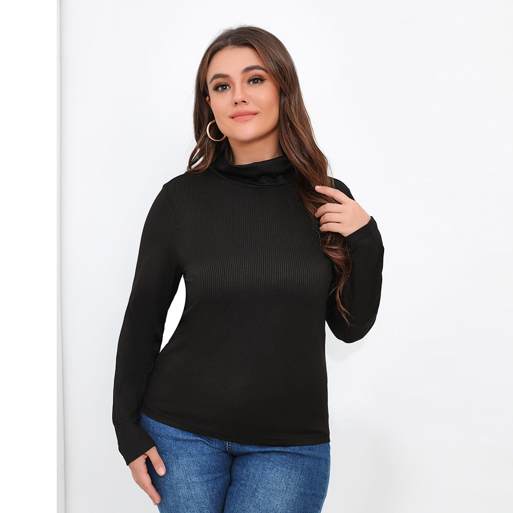 Plus Size Solid Long Sleeve Turtleneck Top