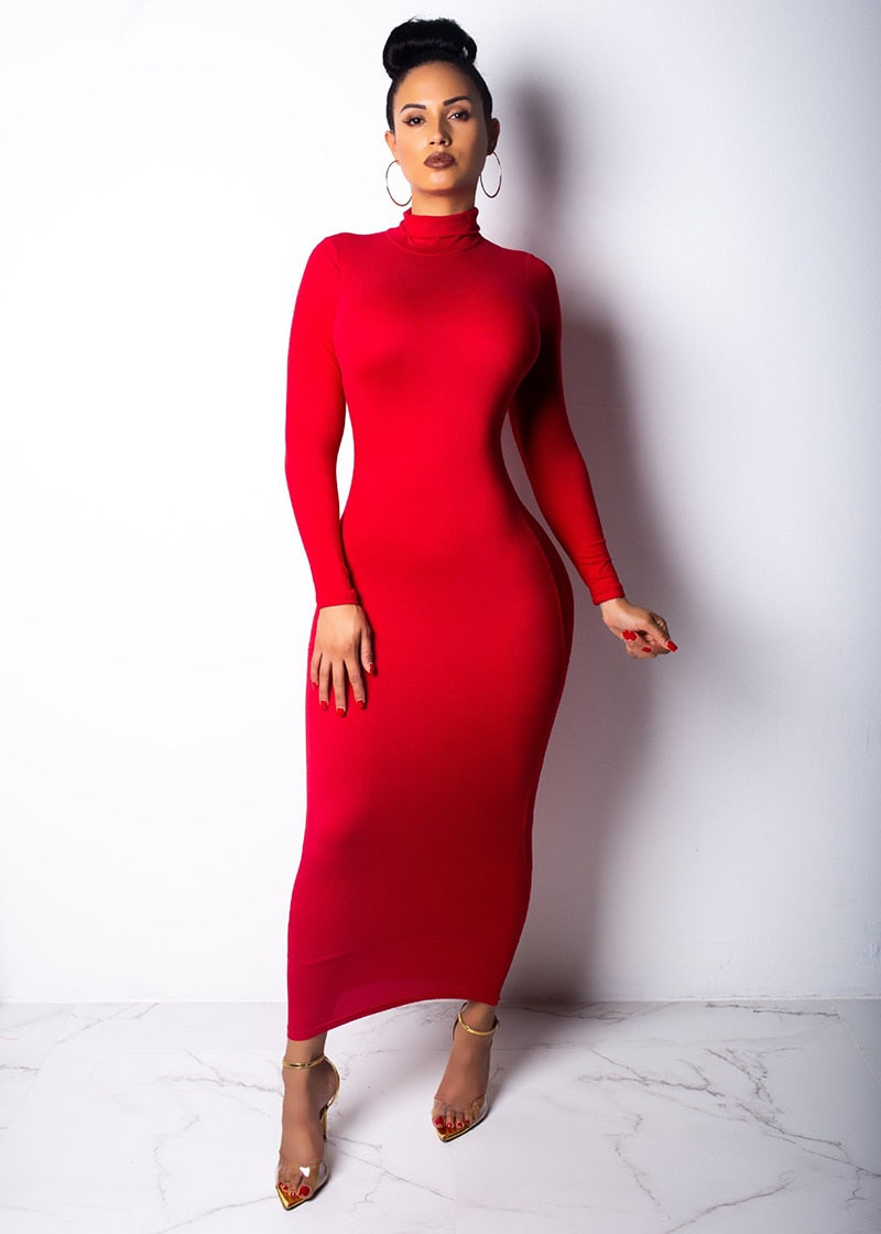 Long Sleeve Turtleneck Dress - IBADDIE