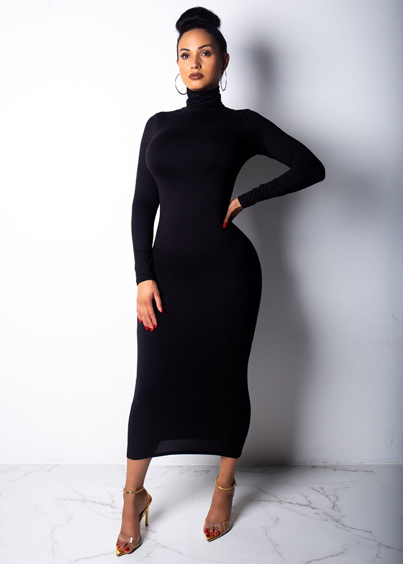 Long Sleeve Turtleneck Dress - IBADDIE