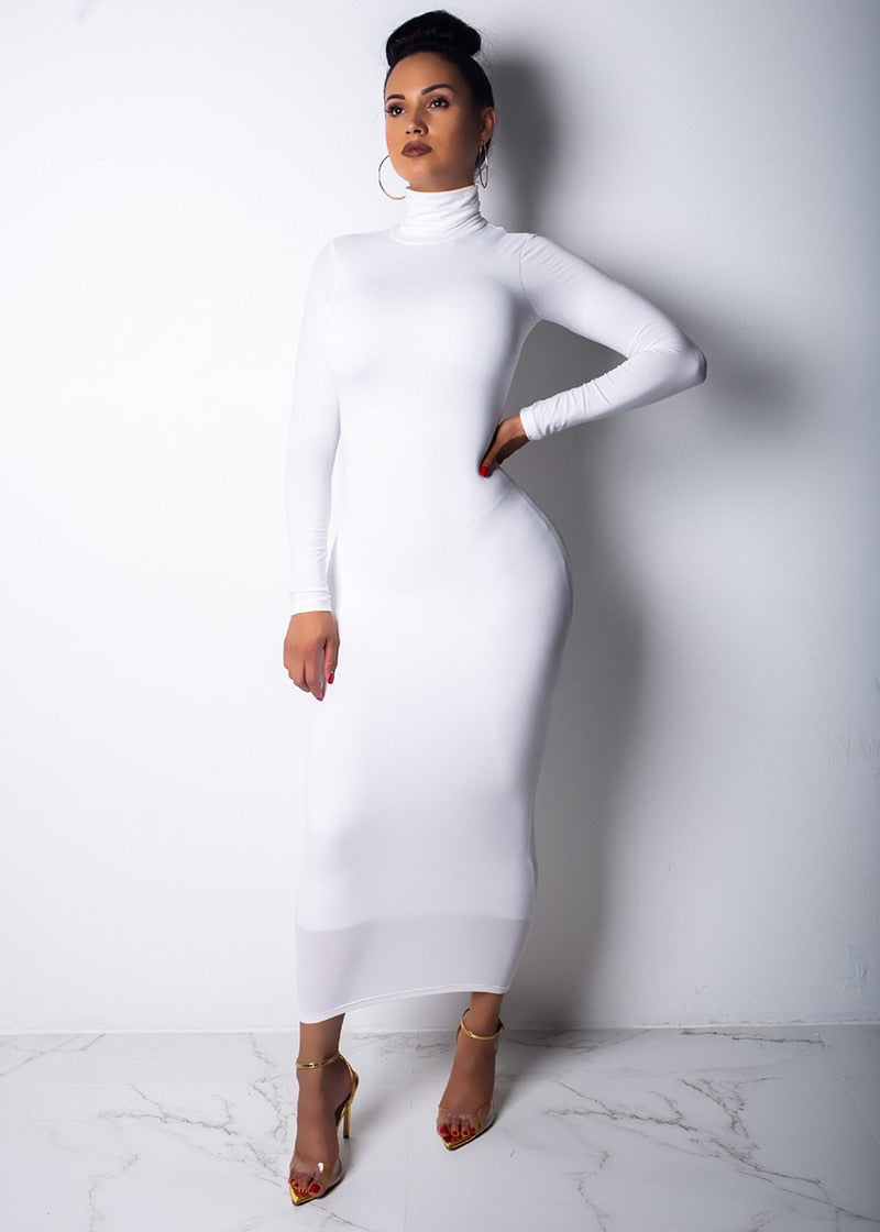 Long Sleeve Turtleneck Dress - IBADDIE