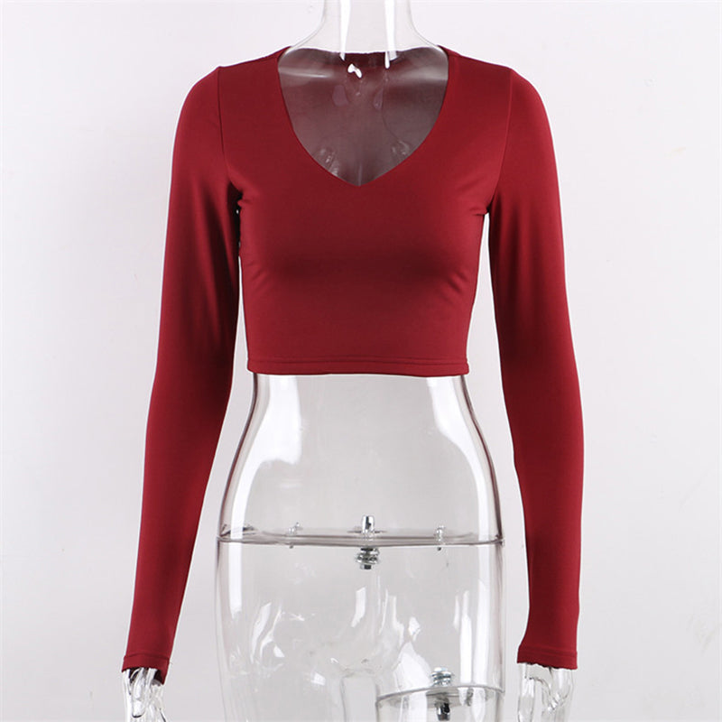 Deep V-Neck Long Sleeve Crop Top