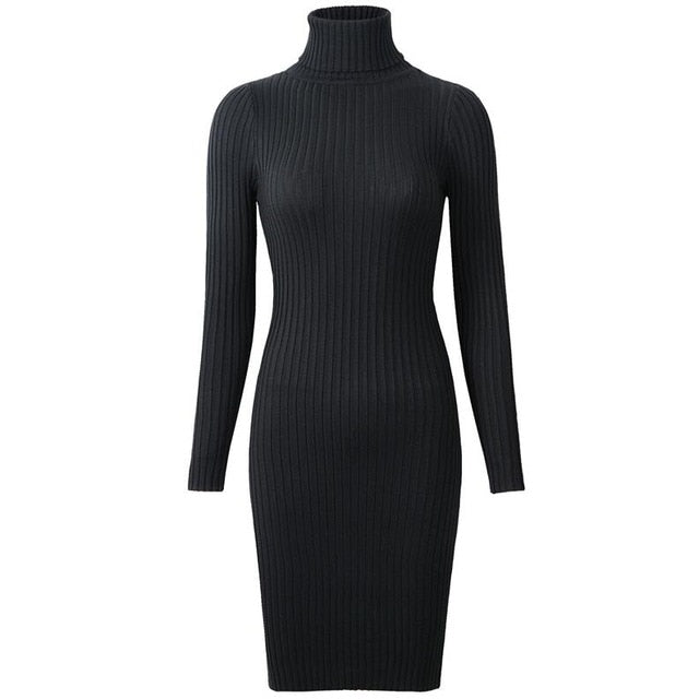 Knitted Long Sleeve Turtleneck Dress