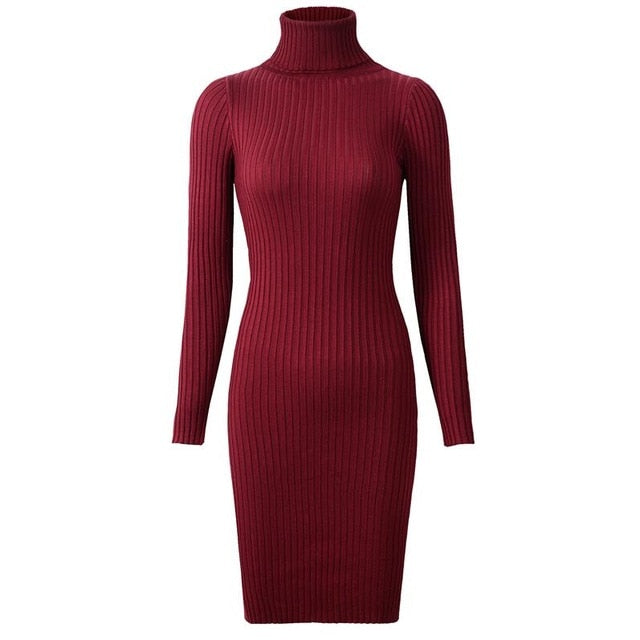 Knitted Long Sleeve Turtleneck Dress