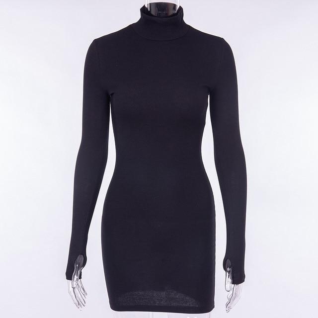 Turtleneck Long Mini Dress - IBADDIE