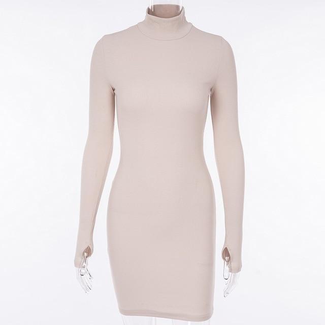 Turtleneck Long Mini Dress - IBADDIE