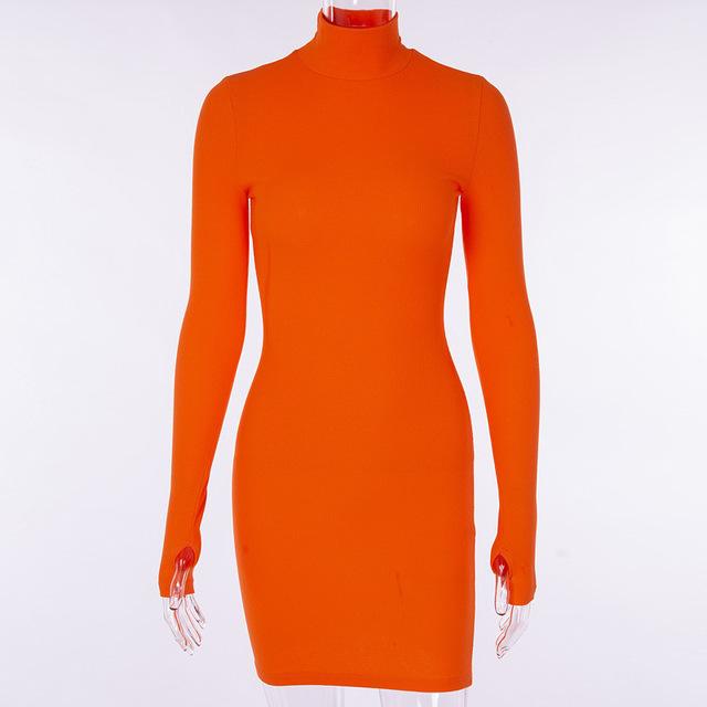 Turtleneck Long Mini Dress - IBADDIE